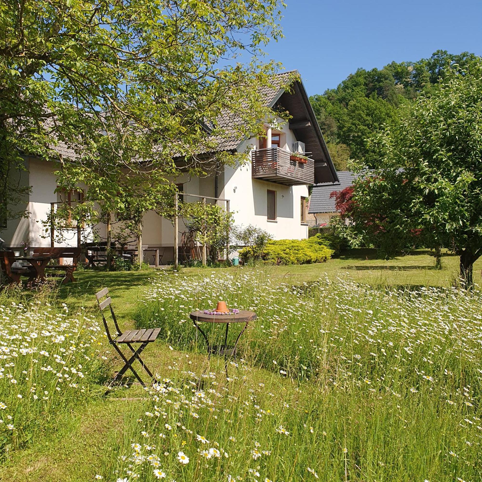 River House Radolca Radovljica Ngoại thất bức ảnh