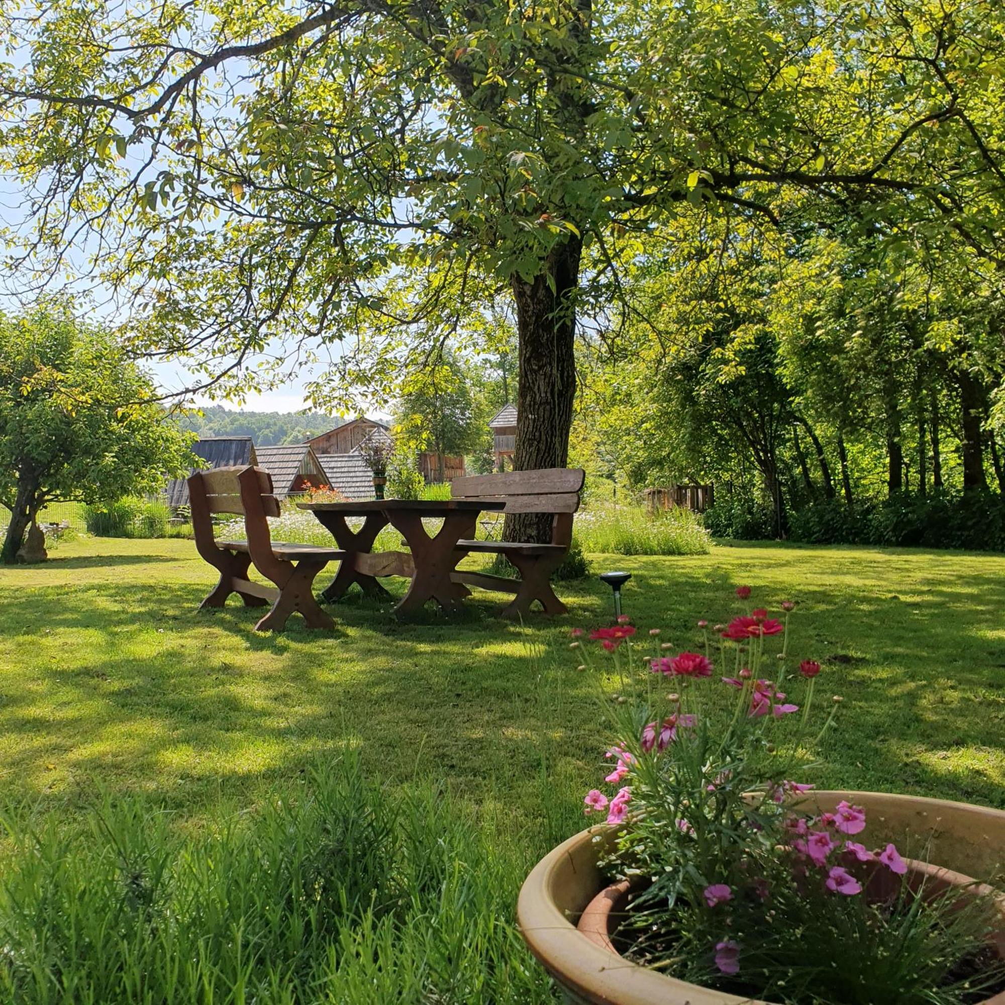River House Radolca Radovljica Ngoại thất bức ảnh